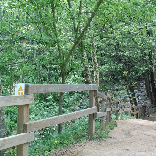 foto enselva't: ruta BTT Selva 10 - Sant Marçal bosc