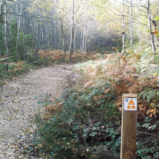 Enselva't. Ruta BTT 21- Els pantants. Amer.