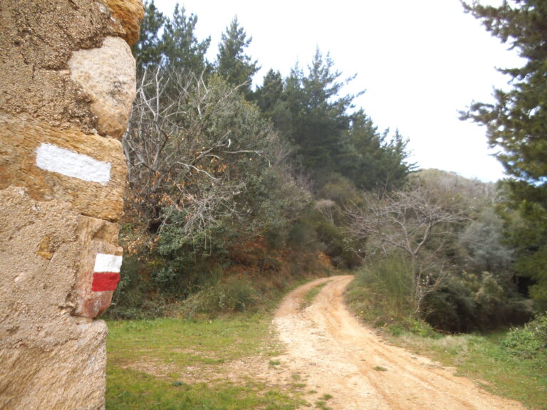 foto enselva't: ruta btt circular nord camins