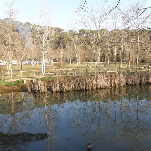 Enselva't. Ruta del camí vell a Tossa. Lloret de Mar.