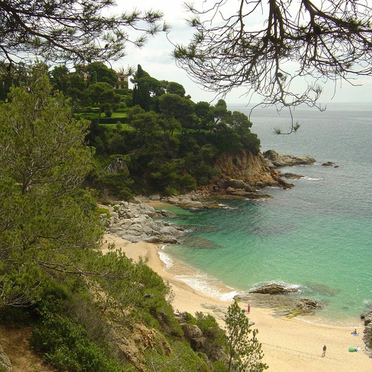 Enselva't. Ruta de les Ermites. Lloret de Mar.