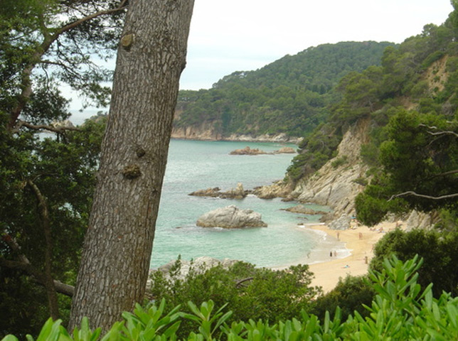 selva't. Marxa de les Platges. Lloret de Mar.