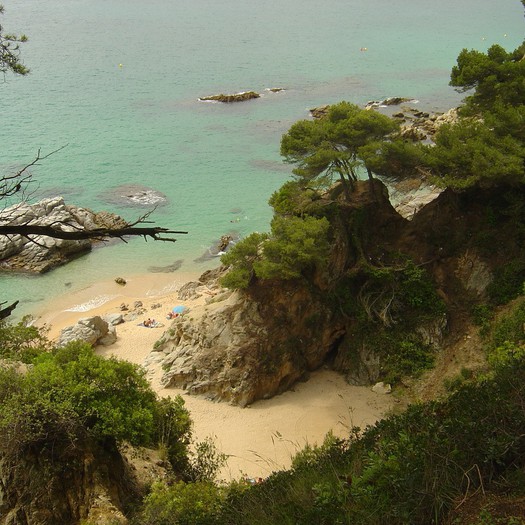 selva't. Marxa de les Platges. Lloret de Mar.