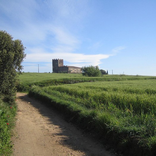 Enselva't. Ruta Marata. Maçanet de la Selva.