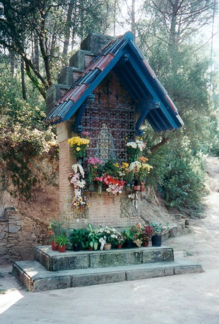Enselva't. Ruta de Montbarbat. Lloret de Mar.