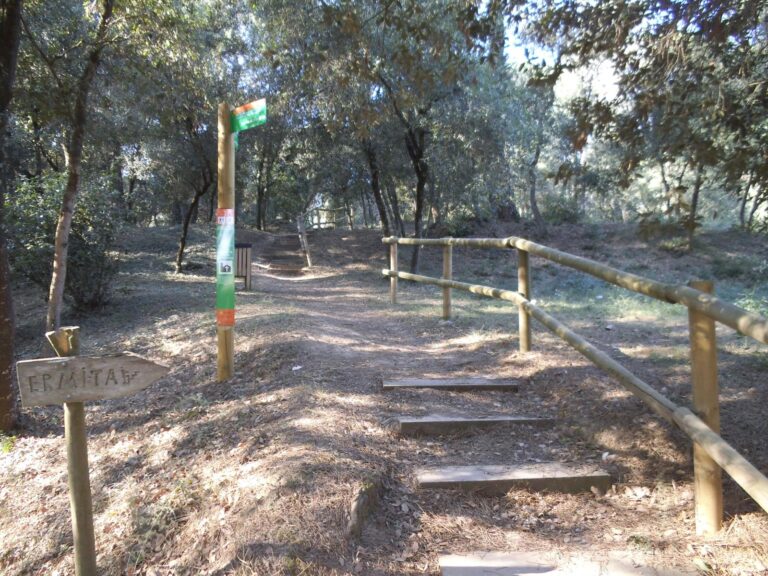 Enselva't. Itinerari Serra de Coguls. Vilobí d'Onyar.