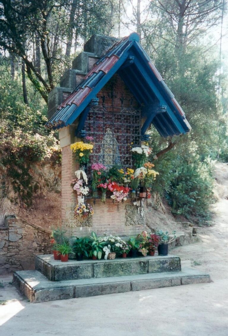 Foto Enselva't: Ruta BTT El Vilar, Blanes. Mare de Deu de Gràcia