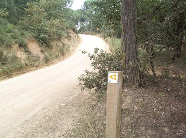 Foto Enselva't_ Ruta BTT 15. camins