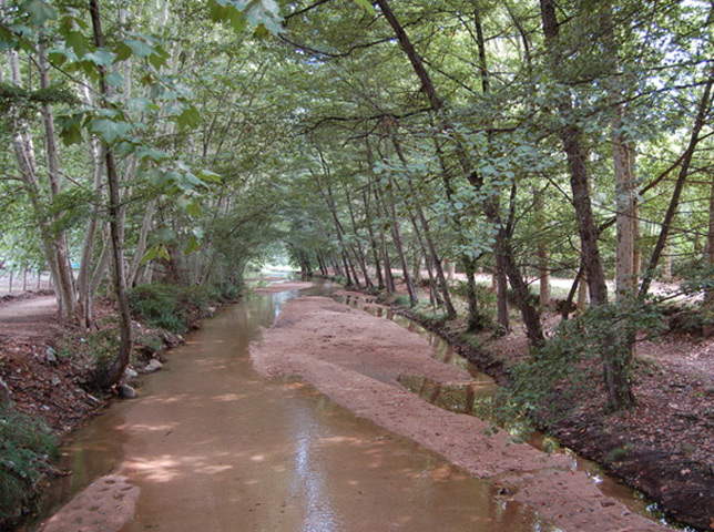 Enselva't. Ruta de l'aigua. Tram 1. (Santa Coloma de Farners)