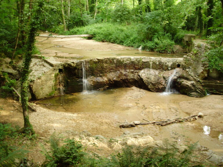 Enselva't. Ruta a l'Ermita de Farners. Santa Coloma de Farners.