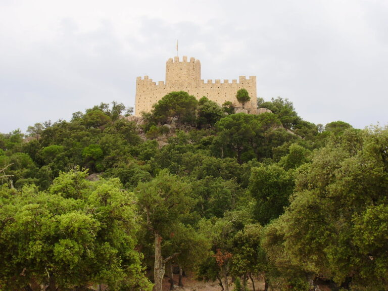 Enselva't. Ruta a l'Ermita de Farners. Santa Coloma de Farners.