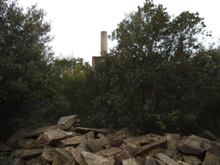 Enselva't. Ruta Sant Pere Vell a Torre del Far. Santa Coloma de Farners.