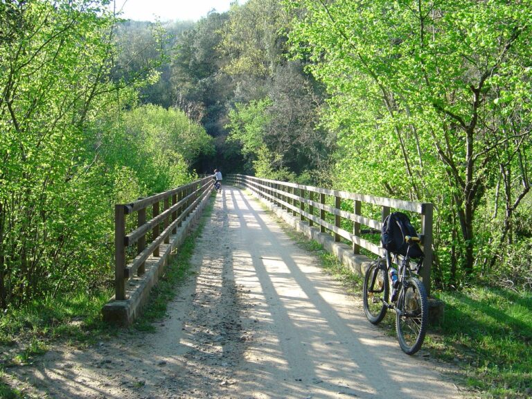foto: rutes. Natura amer/ les planes d'hostoles