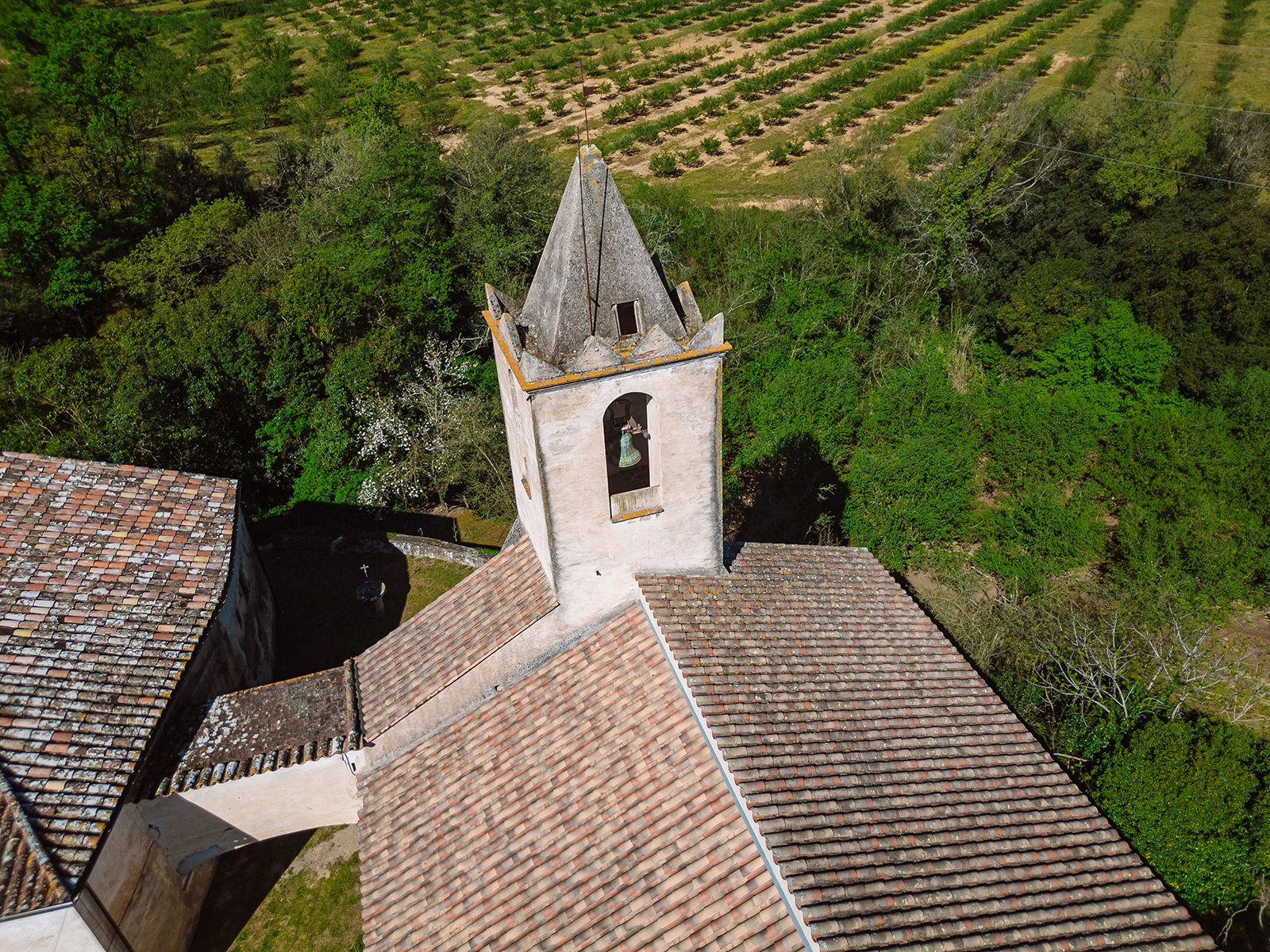 Enselva't. Església de Sant Martí sapresa. (Brunyola)