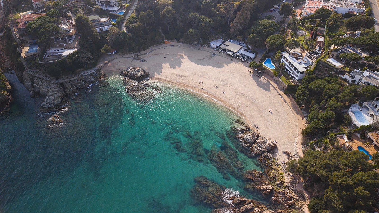 Enselva't. Cala Sant Francesc. (Blanes)
