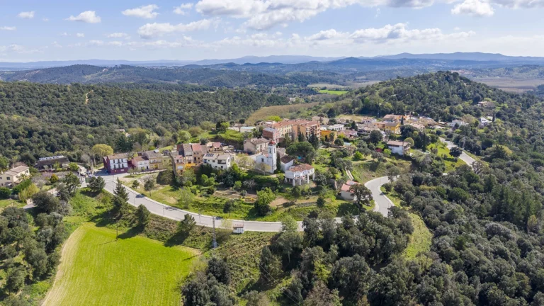 Enselva't. Panoràmica. (Massanes)
