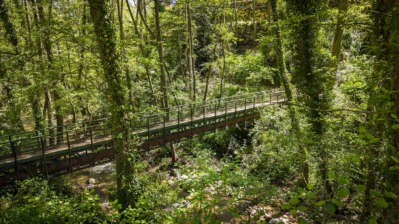 Enselva't. Pont d'Arbúcies.
