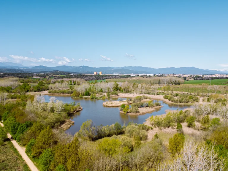 Enselva't. Estany de Sils.