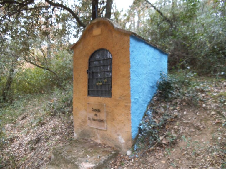 Enselva't. Ruta BTT 20. Sant Pere Màrtir. Amer
