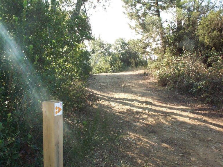 Enselva't. Ruta BTT 20. Sant Pere Màrtir. Amer
