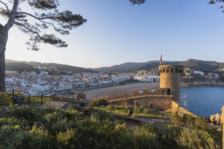 Enselva't. Recinte emmurallat i castell de Tossa.
