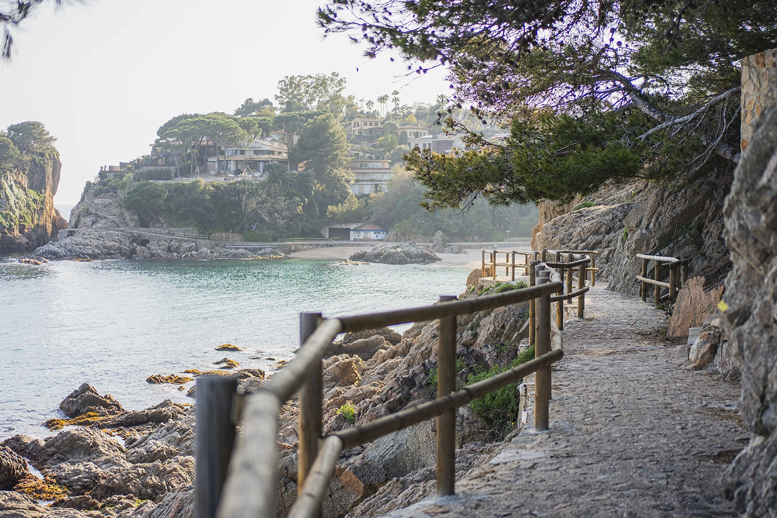 Enselva't. Camí de Ronda. (Blanes)