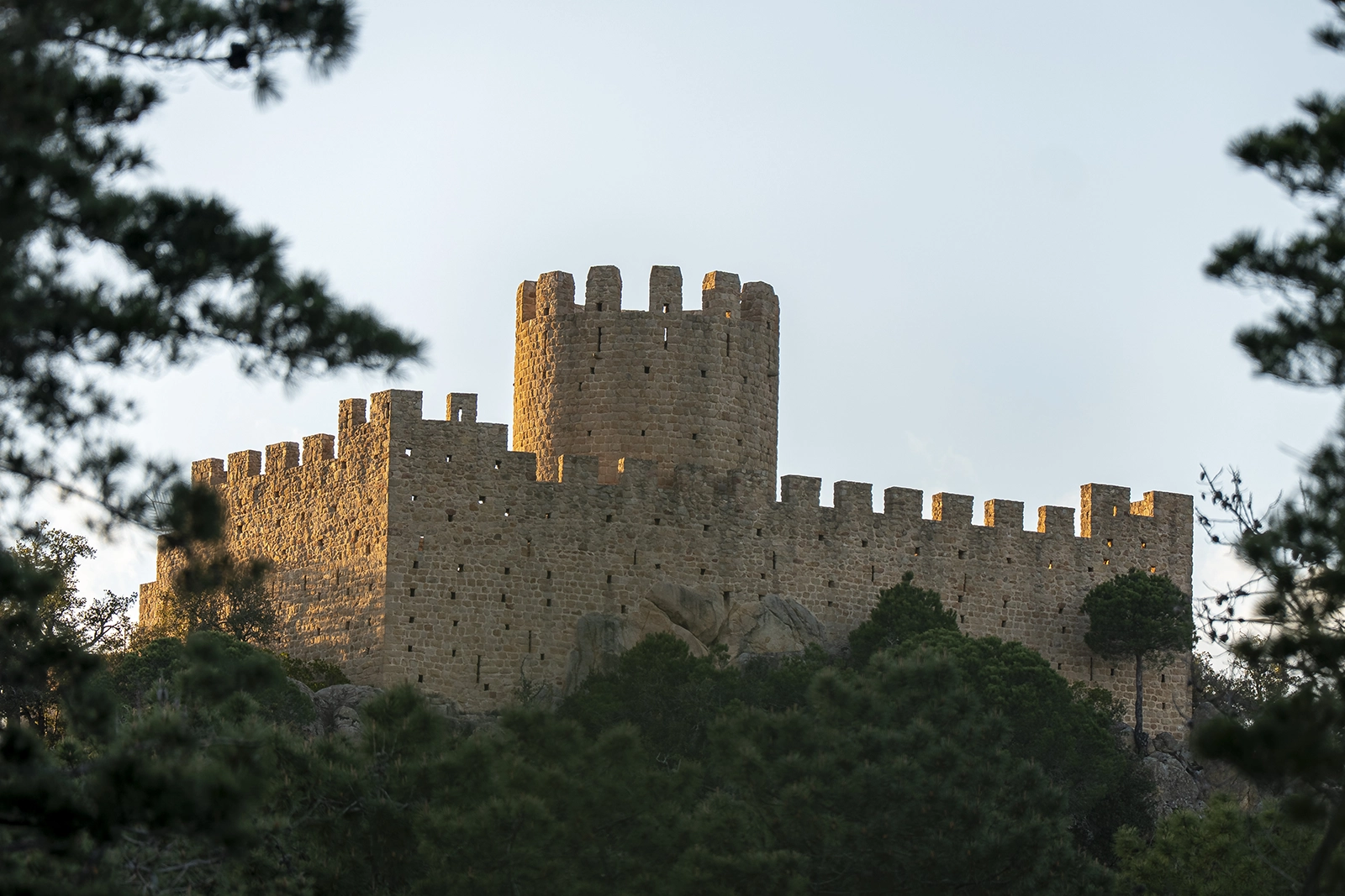 Enselva't. Castell de Farners.