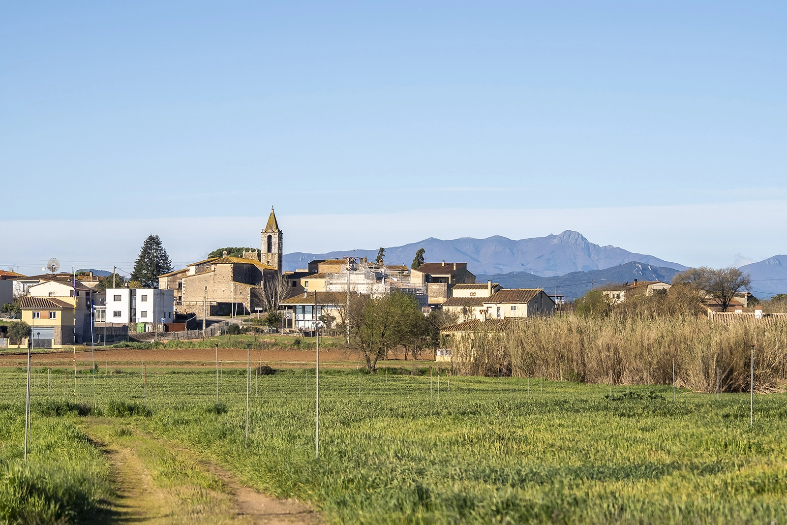 Foto: Enselva't. Vilobí d'Onyar