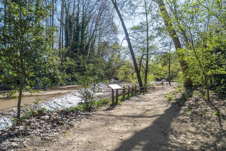 Enselva't. Parc de Sant Salvador. (Santa Coloma de Farners)