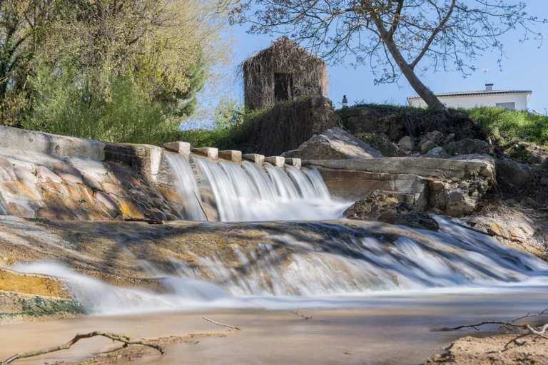 Enselva't. Parc de Sant Salvador. (Santa Coloma de Farners)