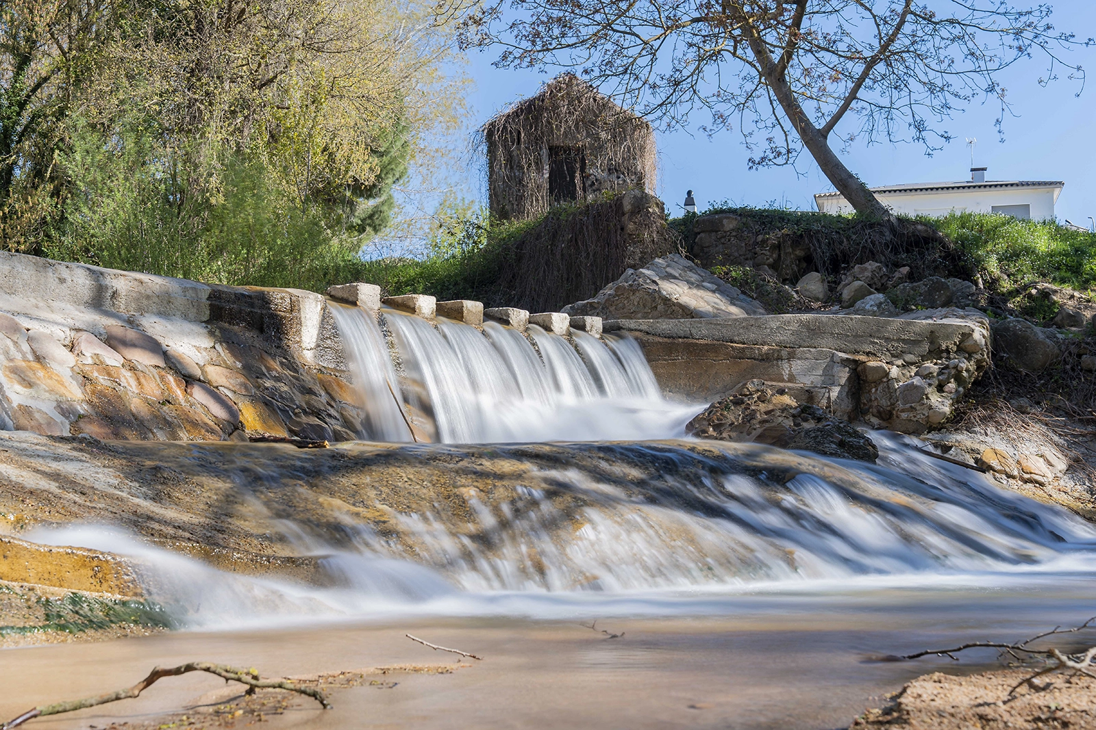 Enselva't. Parc de Sant Salvador. (Santa Coloma de Farners)