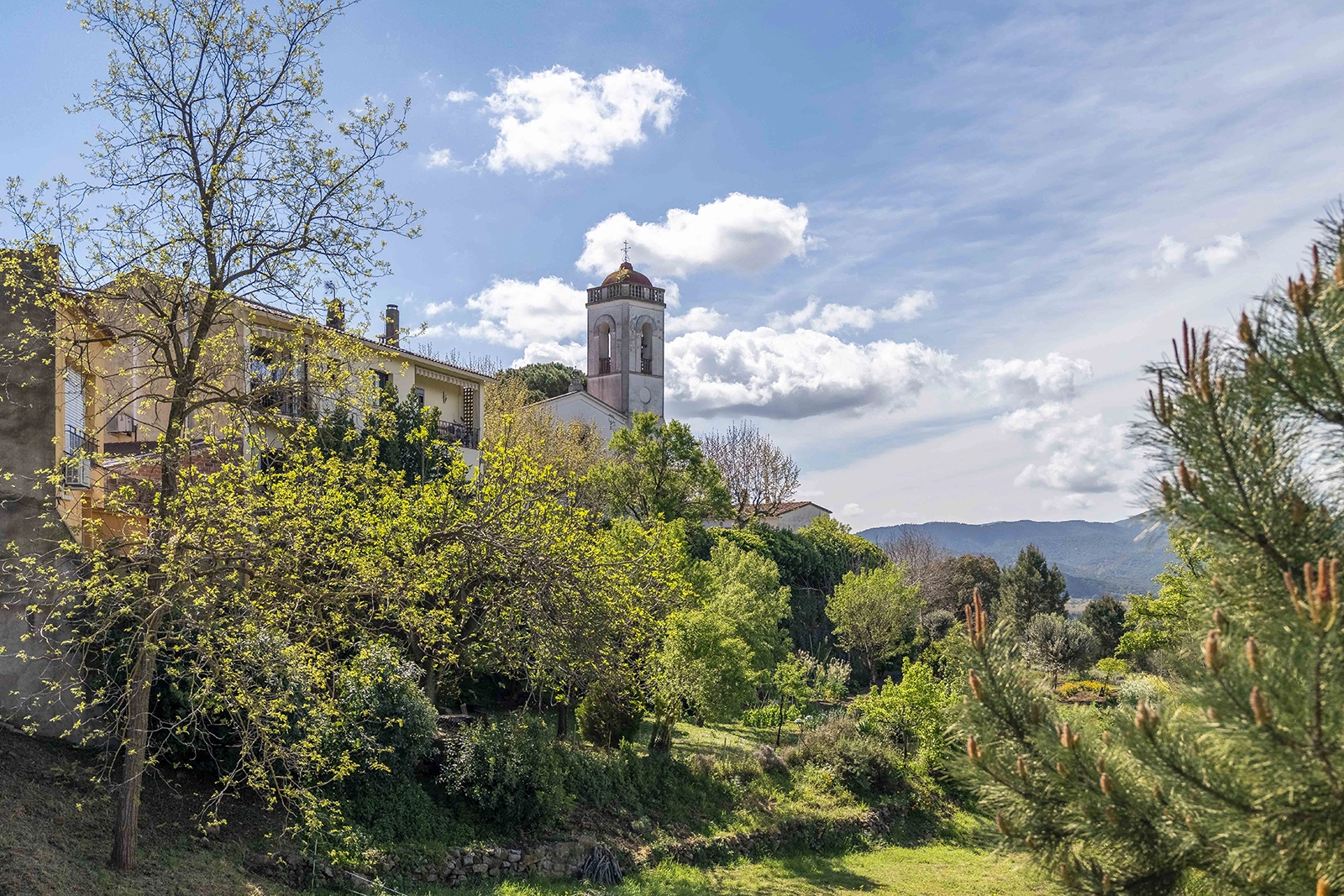 Enselva't. Panoràmica. (Massanes)