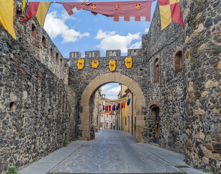 Enselva't. Castell d'Hostalric.
