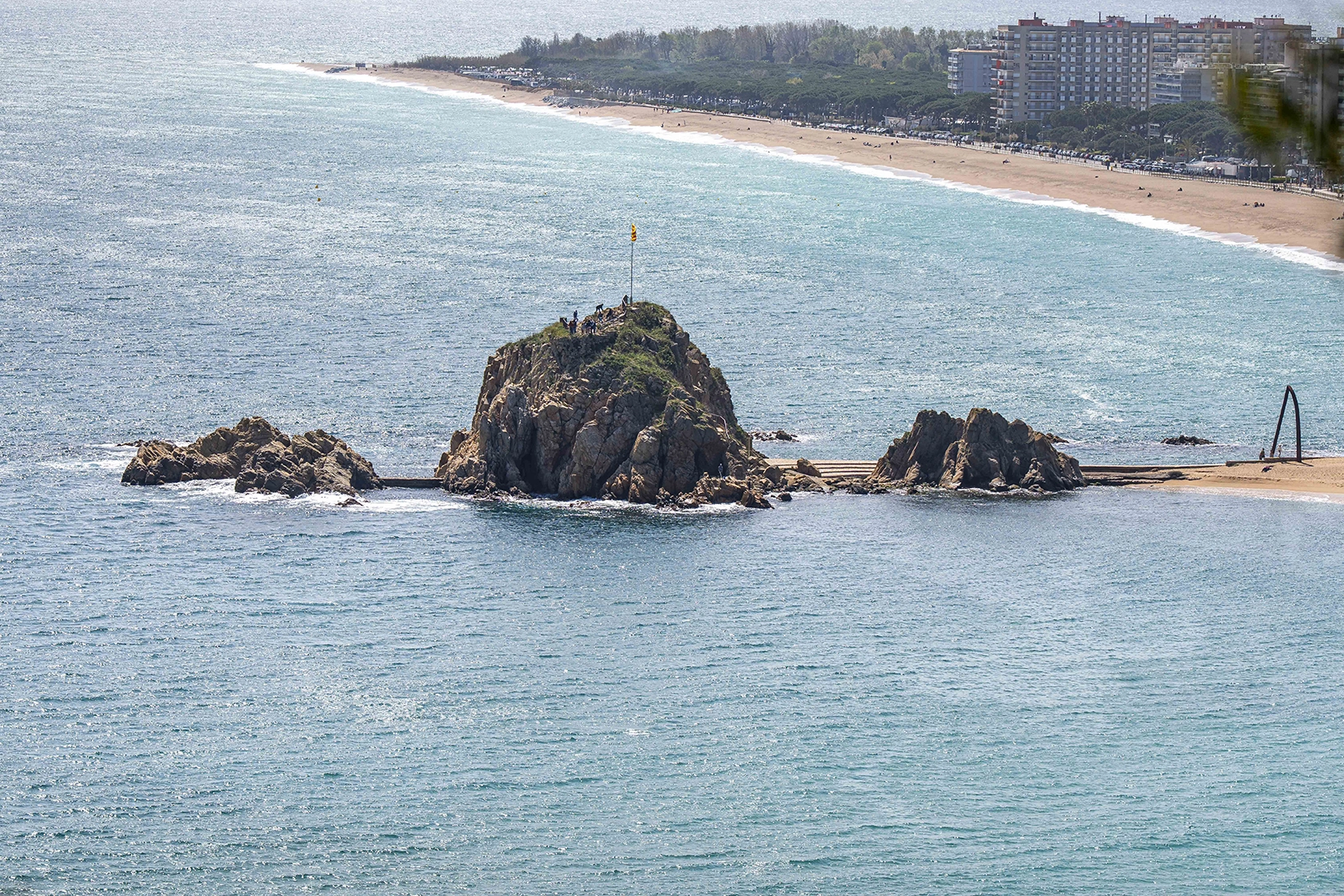 Enselva't. Sa Palomera. (Blanes)