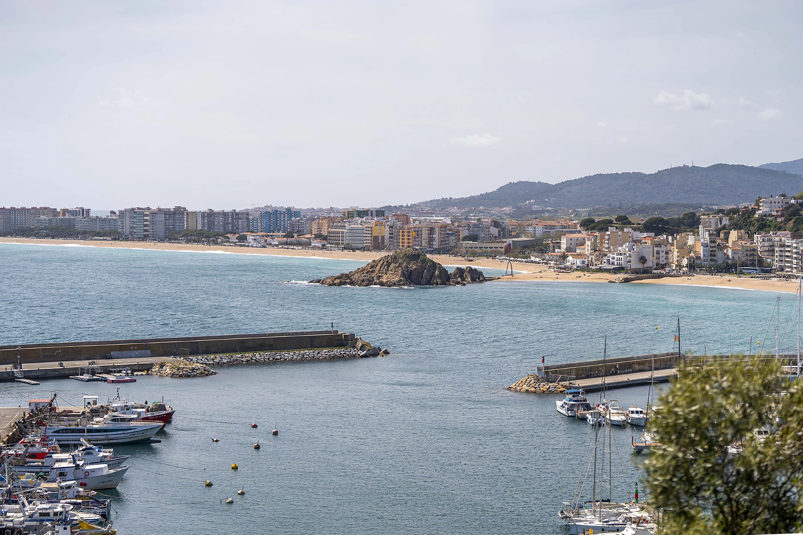 Enselva't. Sa Palomera. (Blanes)