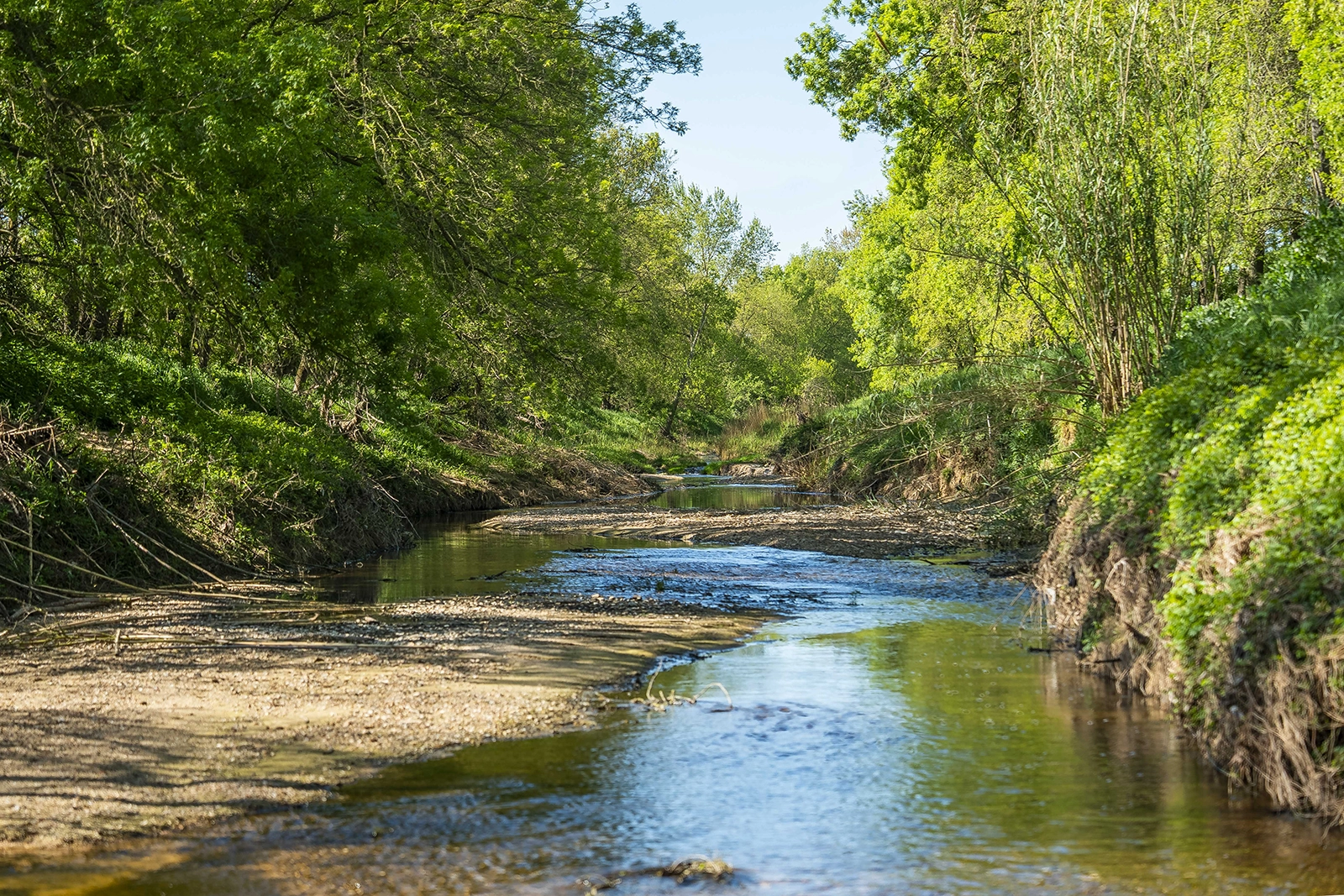 Enselva't. Riu. (Riudellots de la Selva)