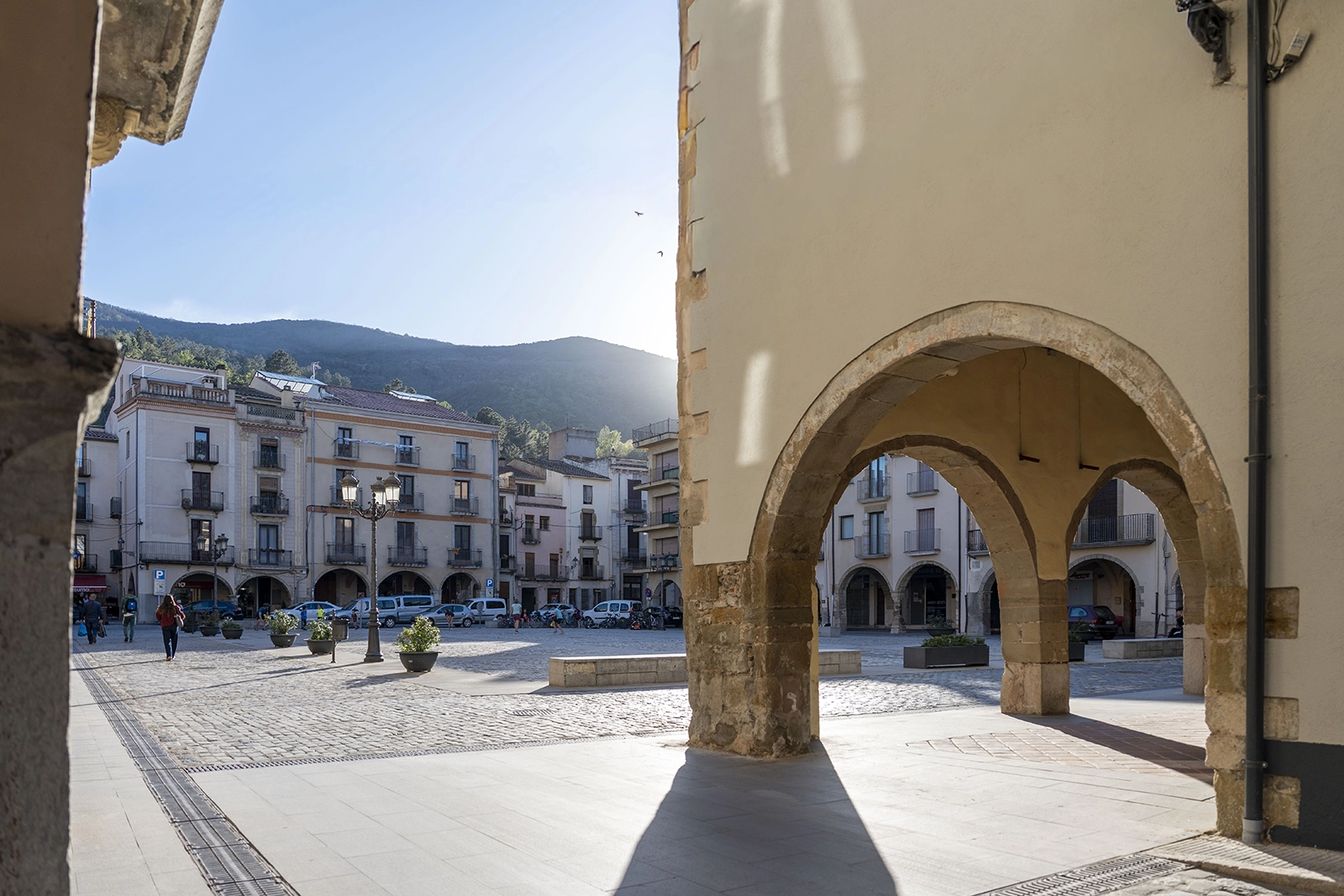 Enselva't. Plaça de la Vila (Amer)