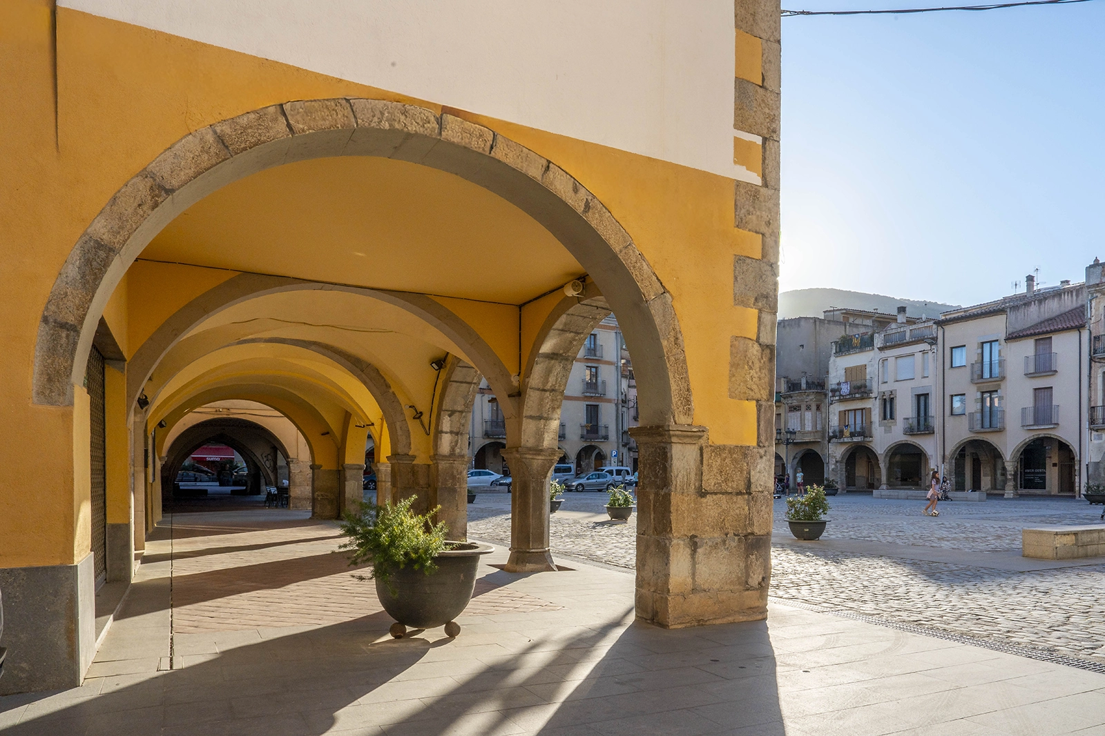 Enselva't. Plaça de la Vila (Amer)