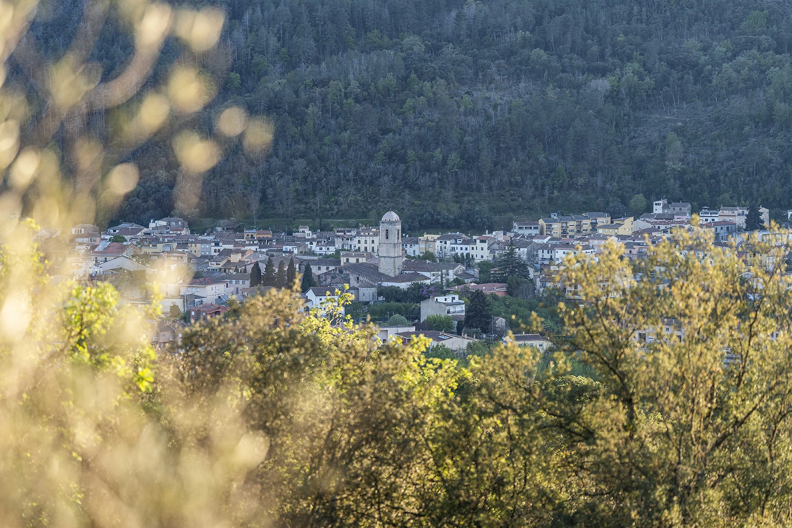 Enselva't. Panoràmica poble. (Amer)