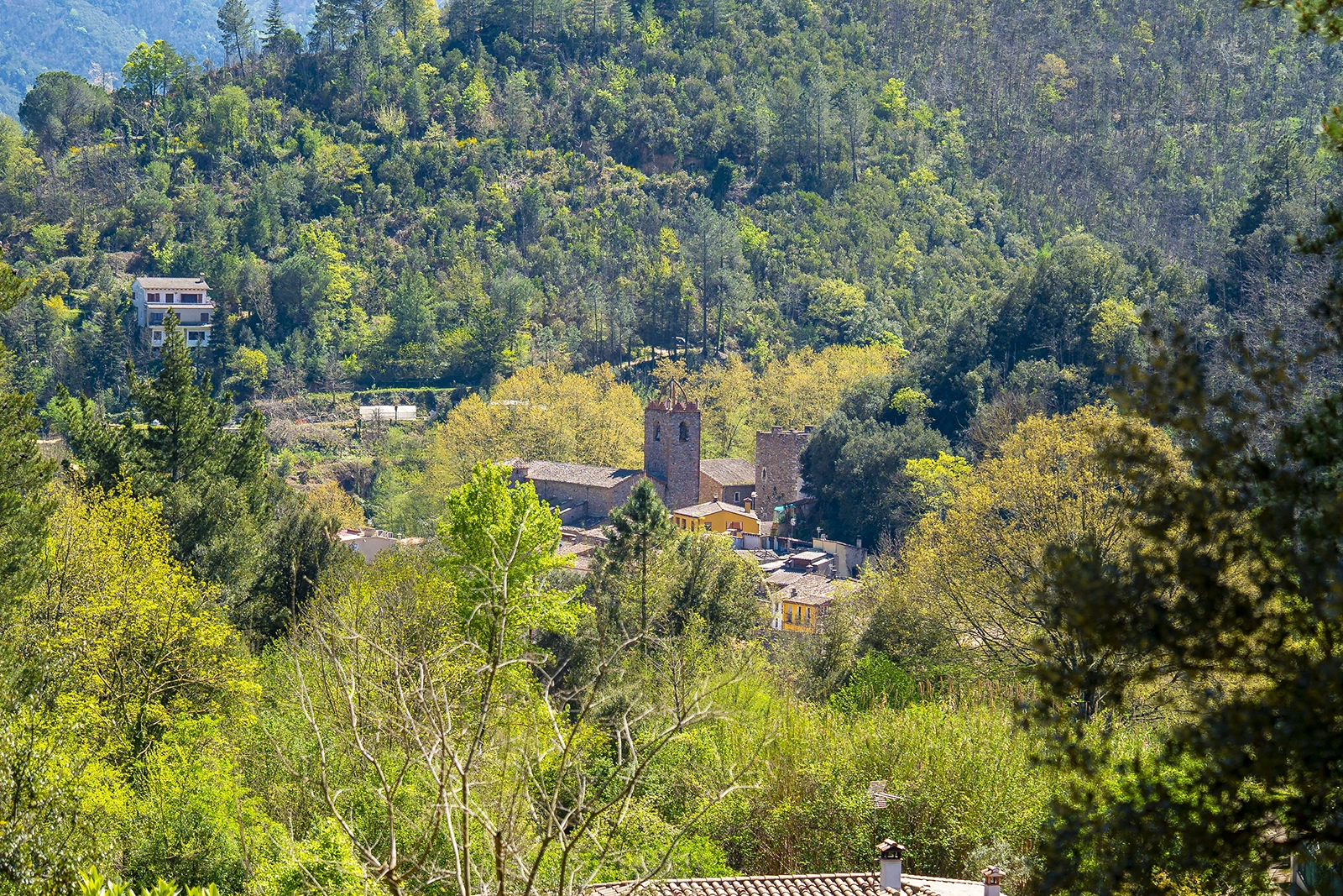 Enselva't. Església Sant Pere D'osor.