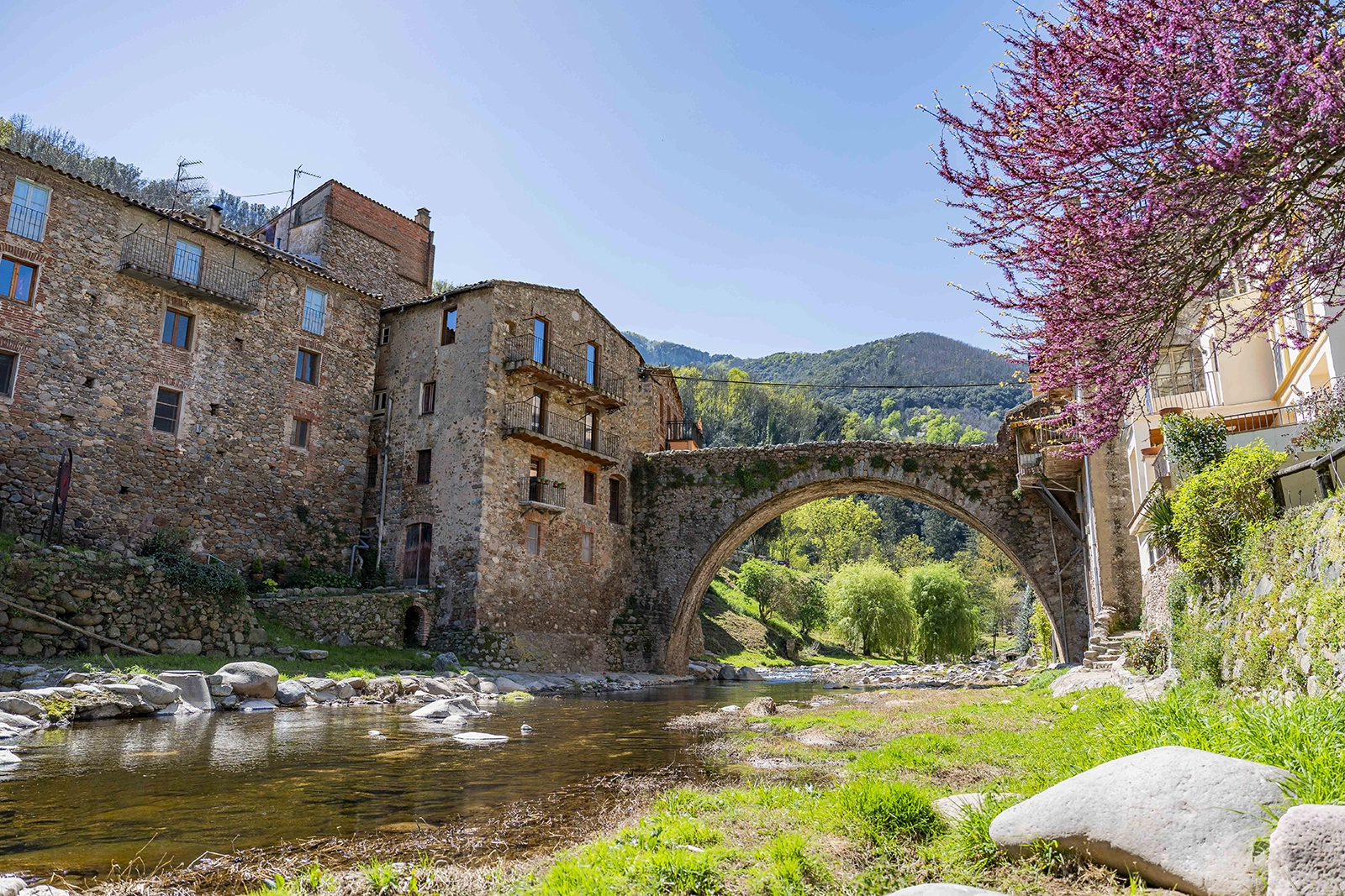 Enselva't. Pont Vell (Osor)