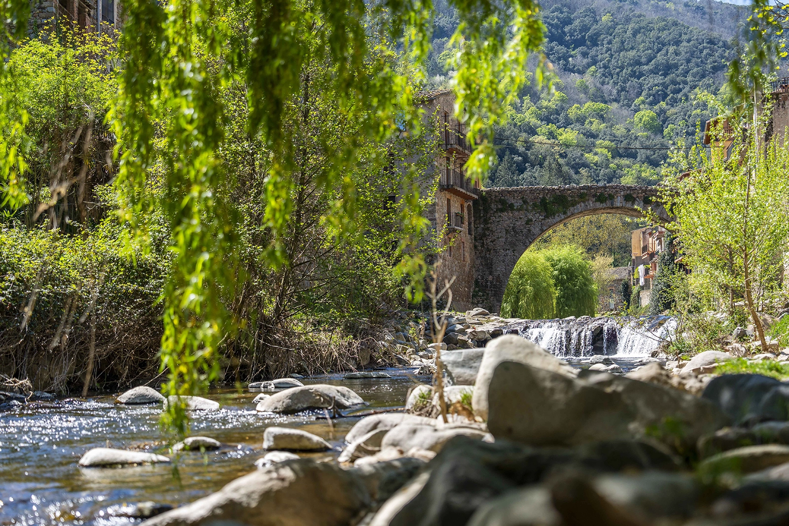 Enselva't. Pont de la Carretera Vella d'Osor.