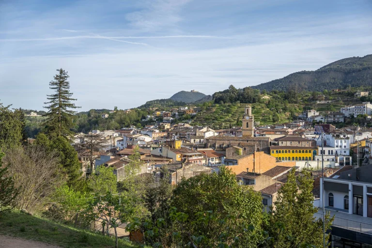 Enselva't. Panoràmica d'Arbúcies.