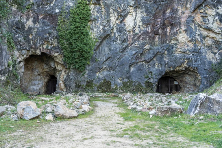 Enselva't. Coves del Pasteral. (Cellera de Ter)