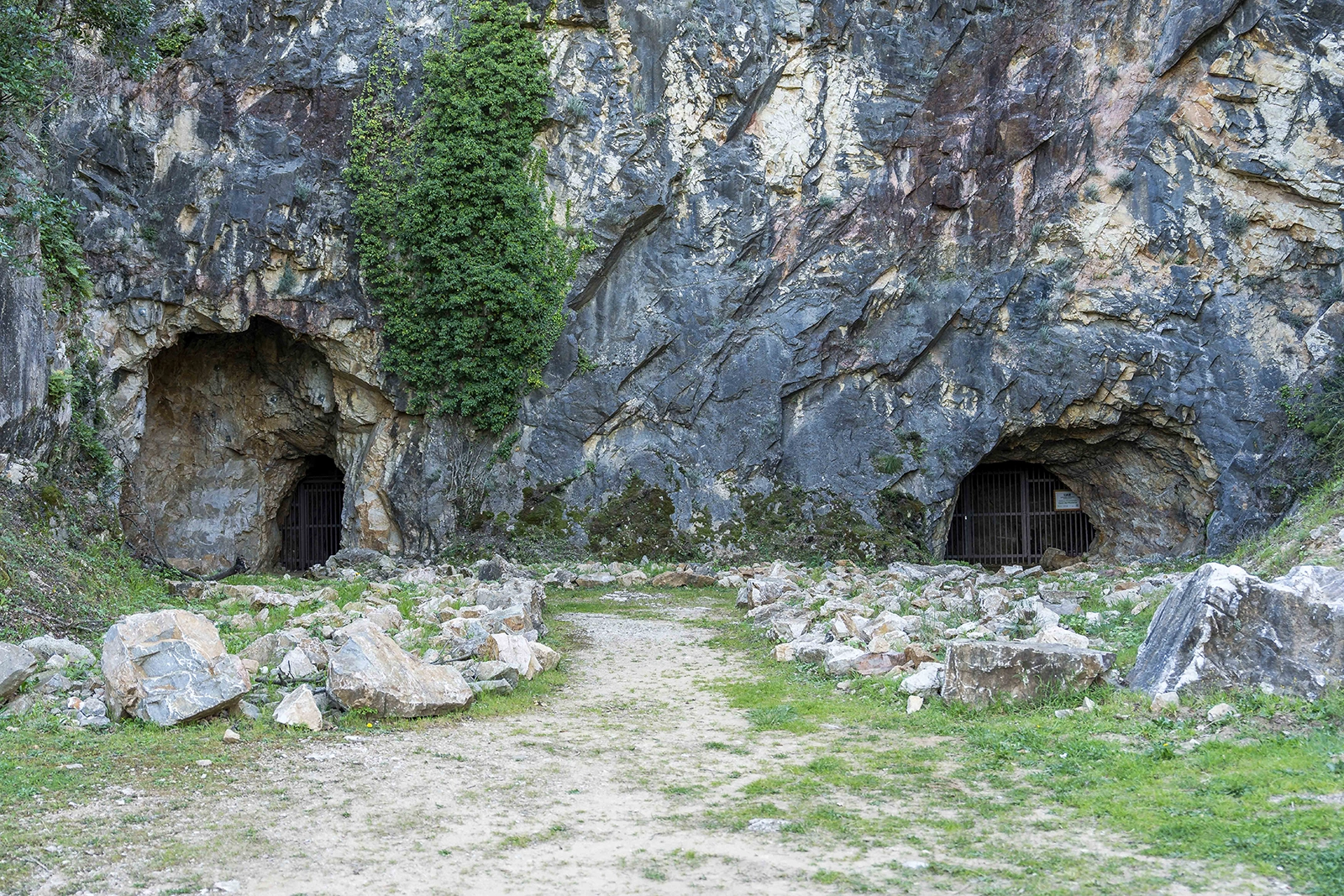 Enselva't. Coves del Pasteral. (Cellera de Ter)