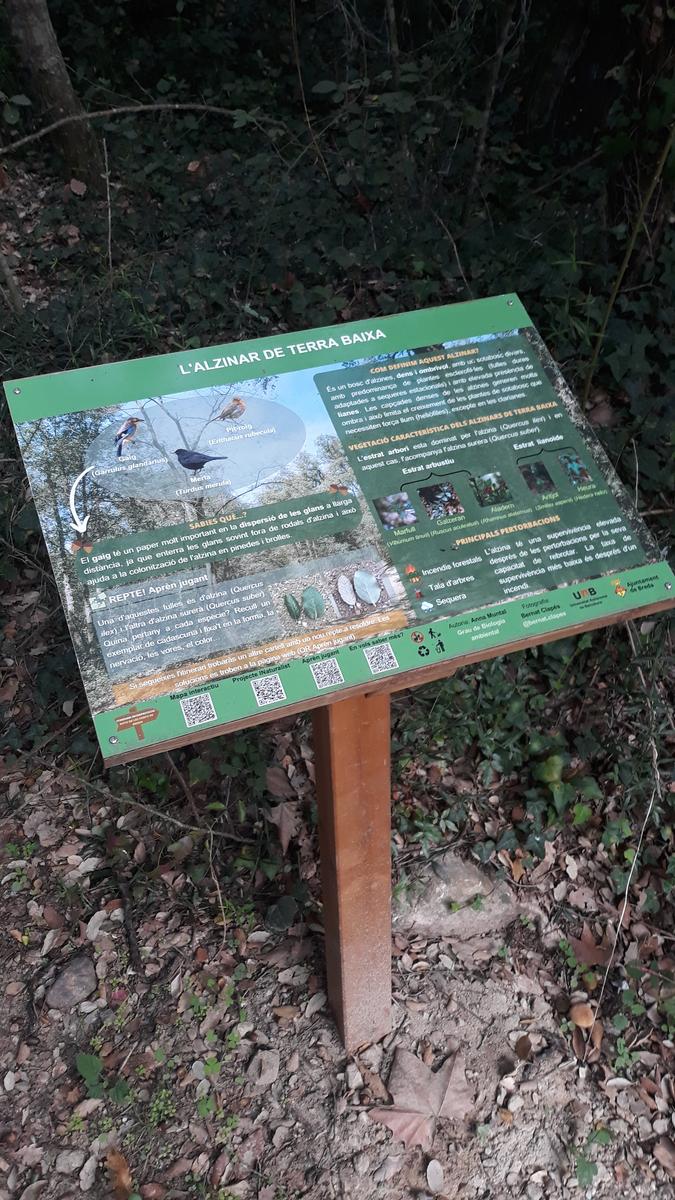 Enselva't. Ruta de les Fonts. Breda.