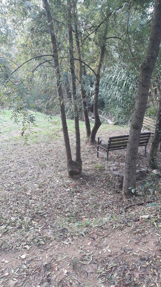 Enselva't. Ruta de les Fonts. Breda.
