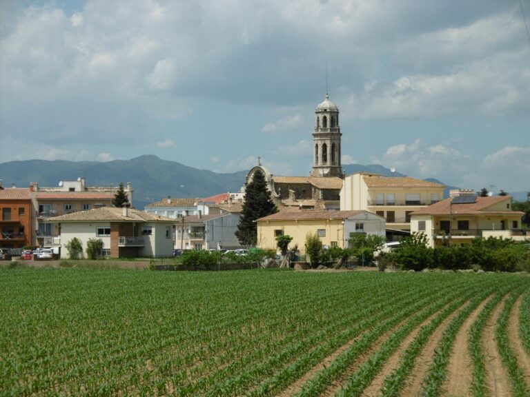 Enselva't. Senders locals. Anella Verda