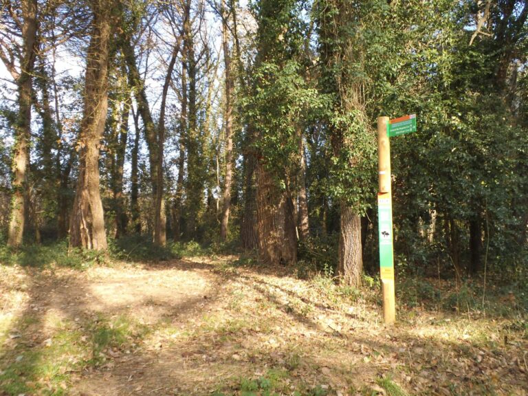 Enselva't. Itinerari Grevolosa i Begastrà. Vilobí d'Onyar.