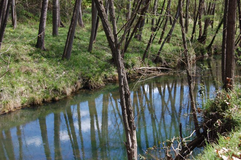 Enselva't. Itinerari Grevolosa i Begastrà. Vilobí d'Onyar.